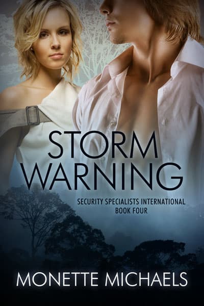 Book cover for Storm Warning by Monette Michaels