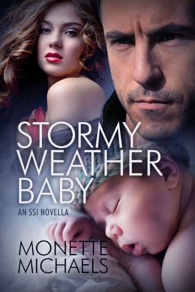 Book cover for Stormy Weather Baby by Monette Michaels